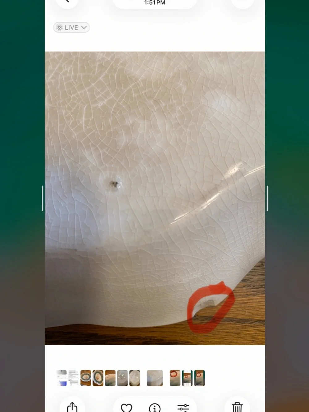 Floral porcelain  oval Serving platter look at pictures it a chip in and back